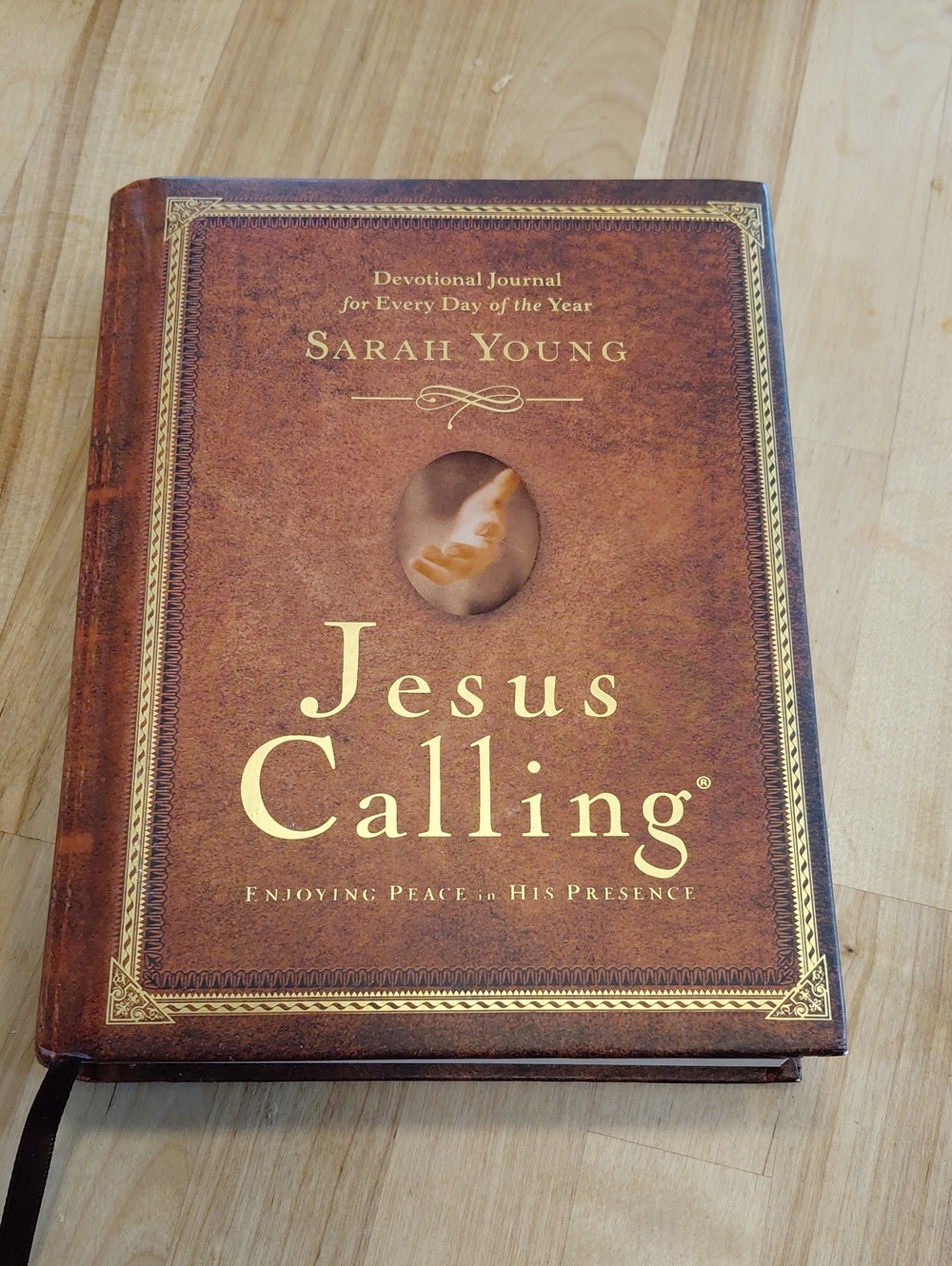 JESUS CALLING BOOK Nwt